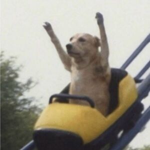 New Balance X Miu Miu 530 SL Sneakers Brown